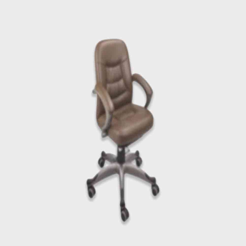 Director-6